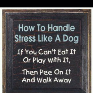 How to handle stress...