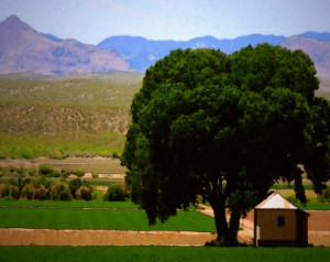 Pictures of gorgeous farms from across the world. New photo every day.