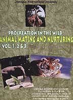 Procreation In The Wild - Animal Mating And Nurturing Vol. 1-3