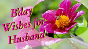 Birthday Wishes, Poems, and Quotes for Your Husband
