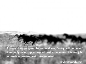 horse does not greet the sun and say, ‘today will be better.’ It ...