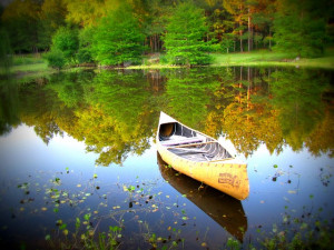 Canoe, Water, Nature