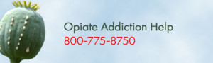 ... of Hydrocodone Mean More Opiate Addicts Will Need Help in 2013
