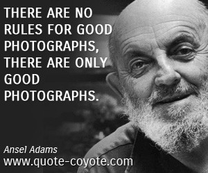 Knowledge quotes - There are no rules for good photographs, there are ...