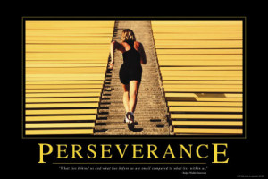 Perseverance is the hard work you do after you get tired of doing the ...