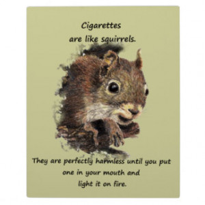 Funny Quit Smoking Motivational Quote Display Plaques