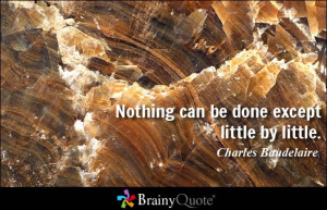 Nothing can be done except little by little.