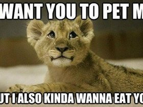 funny animals with quotes photo: Funny Animal Quote Amazing-facts-1 ...