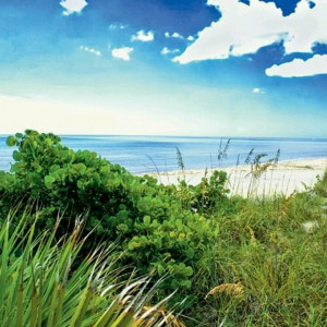 Don Pedro Island, Charlotte, FL