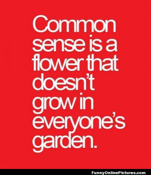 Funny quote about how some people just don’t have much common sense!