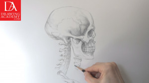 How-to-Draw-a-Scull-by-Drawing-Academy-13-1-Drawing.jpg