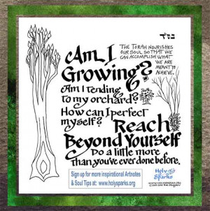 how is your tree growing tu b shevat teaches us grow like a tree