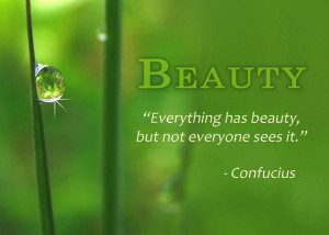 http://quotespictures.com/everything-has-beauty/