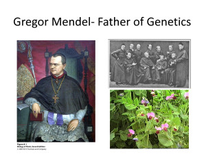 Gregor Mendel- Father of Genetics