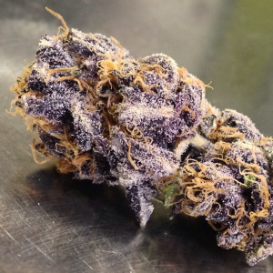 purple-voodoo-weed-purple-voodoo-mmj-thcfinder.jpg