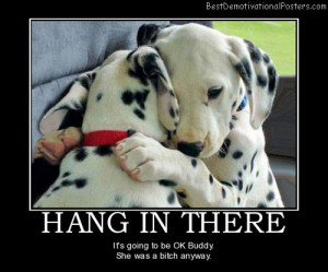 hang-in-there-puppies-best-demotivational-posters.jpg