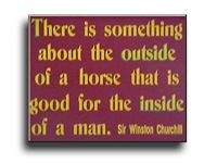 This great Winston Churchill horse quote is ready to hang and features ...