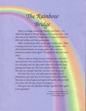 The Rainbow Bridge poem photo RainbowBridge2.jpg
