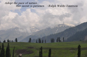 ... the pace of nature, her secret is patience. ” ~ Ralph Waldo Emerson