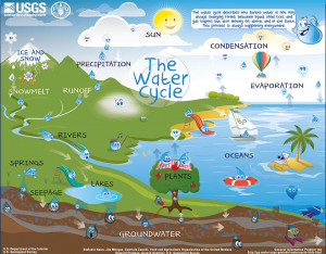 The Water Cycle For Kids...