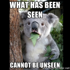 Koala can't believe it - WHAT HAS BEEN SEEN CANNOT BE UNSEEN