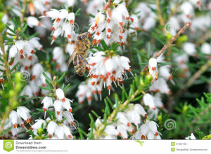 ... quotes found use search from below to search another free quotes