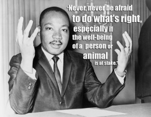 Animal Abuse Quotes By Famous People Quote mlk