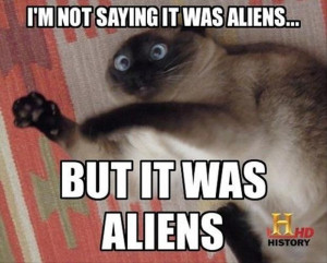 history channel aliens funny cat