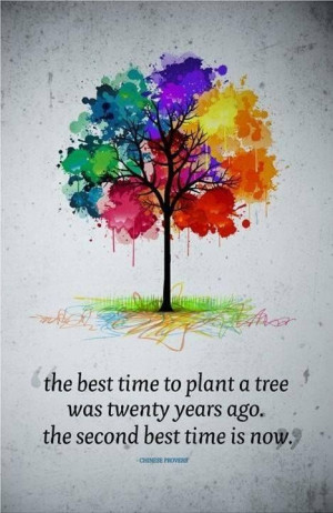That's why we plant ten trees for every item sold! www.tentree.com