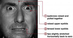 ... can’t tell if someone is lying by reading their facial expressions