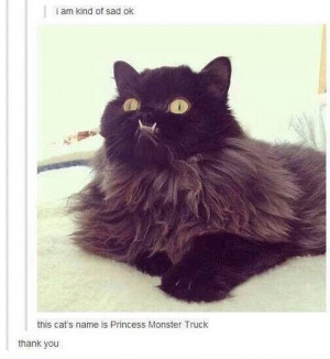 funny-picture-cat-princess-sad