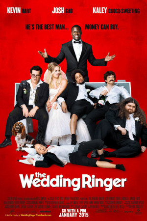 the wedding ringer 2015 blu ray dvd release date april 28 2015 1 2 3 4 ...
