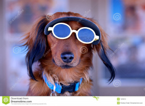 Stock Images Sunglasses...