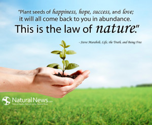 Plant seeds of happiness, hope, success, and love; it will all come ...
