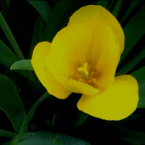 Pinned by Angela Bingaman