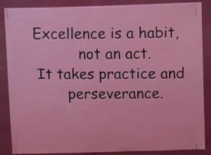 More Excellence Quotes and Sayings: