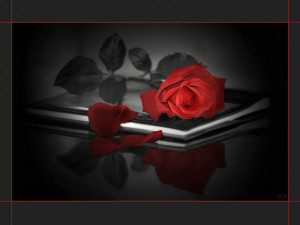 stay your hand, and leave my heart its songs!