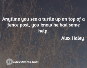 ... you see a turtle up on top of a fence post, you know he had some help