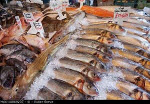 London Southwark Borough Market Seafood Stall Fish Display