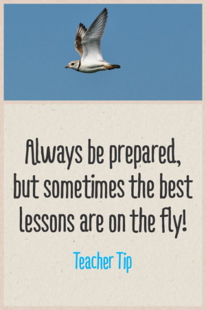 Always be prepared, but sometimes the best lessons are on the fly. # ...