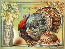 Funny Thanksgiving Turkey Cartoon High Definition Wallpapers