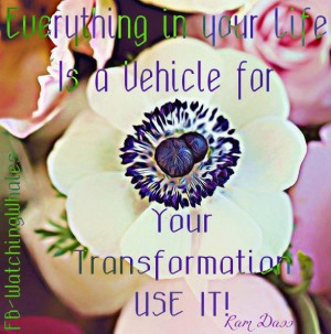 Transformation quote via www.Facebook.com/WatchingWhales