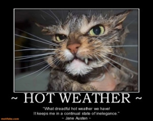 hot-weather-weather-hot-cat-sweat-summer-demotivational-posters ...