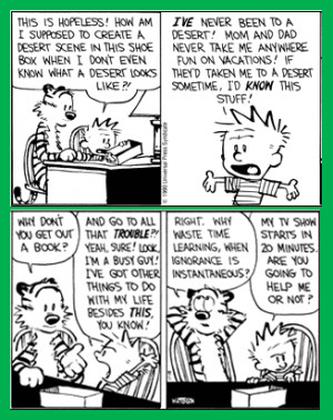 The quote I included in my tweet was from Hobbes in the last panel ...