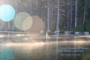 Adopt The Pace Of Nature, Her Secret Is Patience. - Raplh Waldo ...