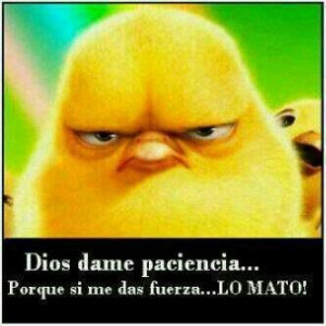 God give me patience cause if you give me strength I'll kill them haha