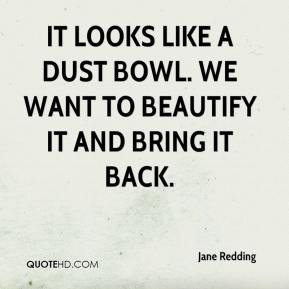 Dust Quotes