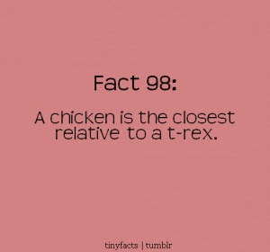 chicken is the closest Relative to a T- Rex – Fact Quote