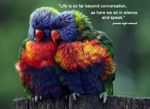 Parrot colorful pamela quote