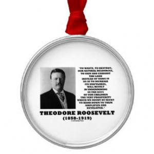 Theodore Roosevelt Waste Destroy Natural Resources Ornaments